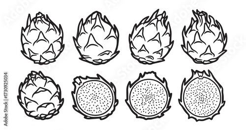 Dragon Fruits Line Art Minimal Outline Drawing
