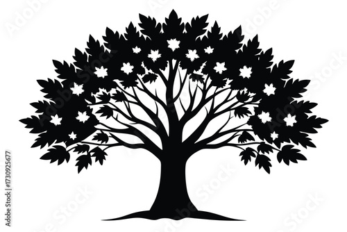 Tree Silhouette with Dense Foliage and Star Shaped Negative Space Detailing a Crown