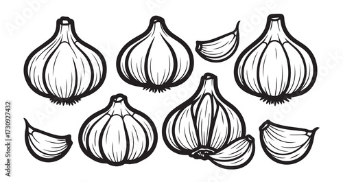 Garlic Vegetable Line Art Organic Food Design