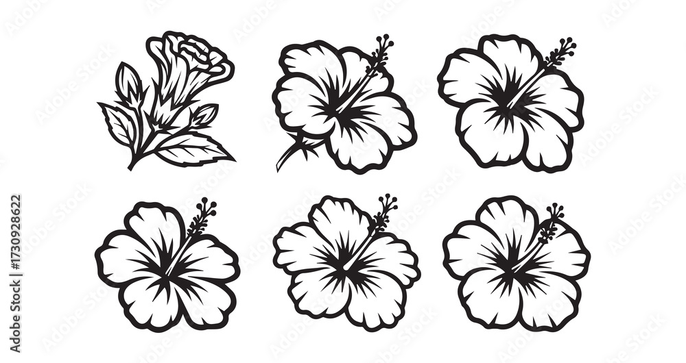 Obraz premium Hibiscus Line Art Aesthetic Flower Vector