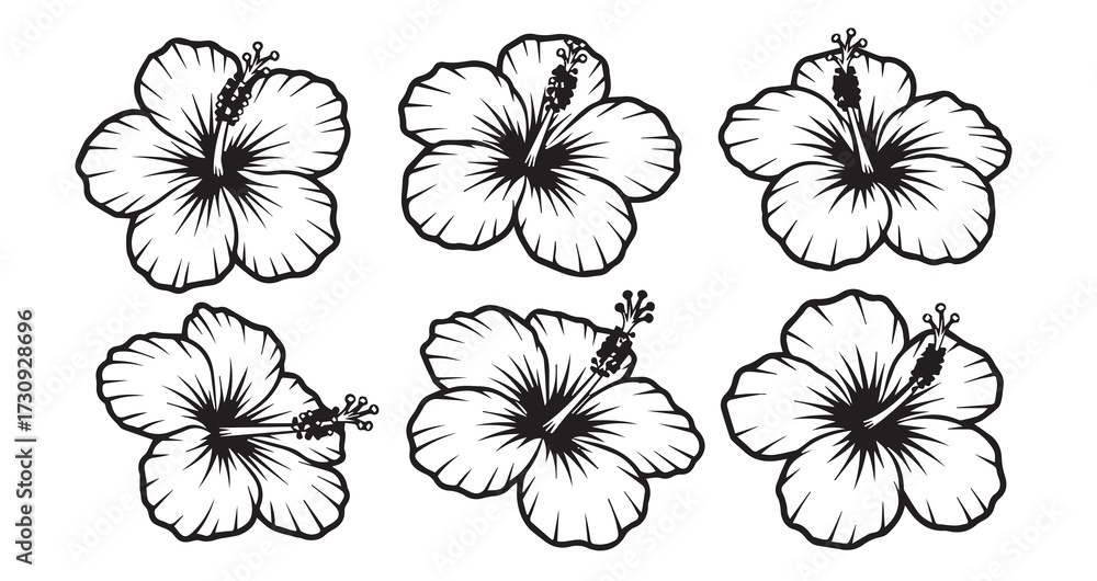 Fototapeta premium Hibiscus Line Art Aesthetic Flower Vector