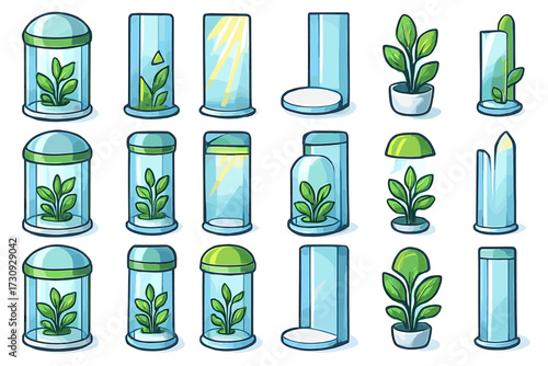 Set of glass terrariums and indoor plants with various geometric designs