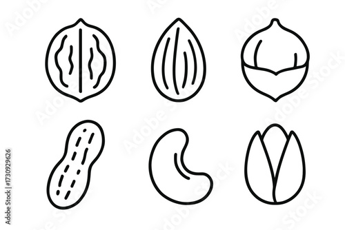 Outlined illustrations of various nuts including walnut, almond, and pistachio