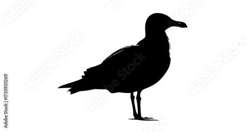 a black silhouette of a seagull standing on a transparent backgroundbeak, bird, black, gull, pigeon, profile, stand, white 