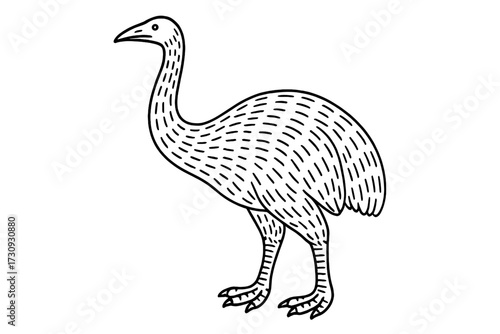 A large, unique bird stands tall with slender neck and distinct features, displayed in a minimalist black and white design