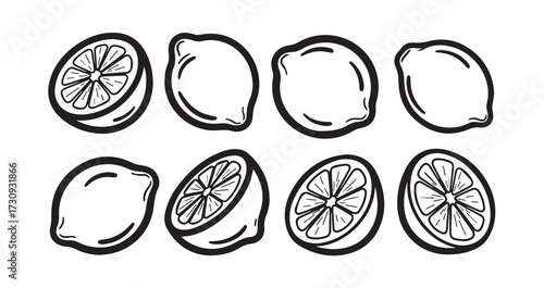Lemon Fruits Line Art Fresh Organic Food Vector