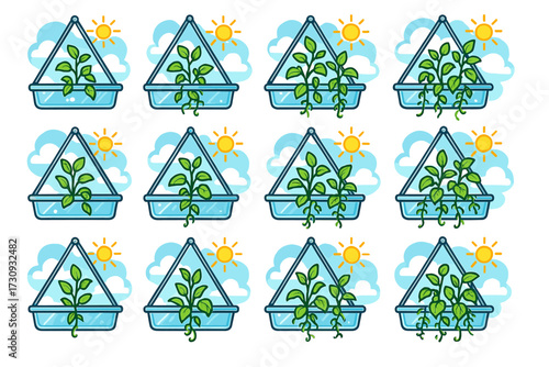 Growth stages of plants in greenhouse with sunny weather illustrations