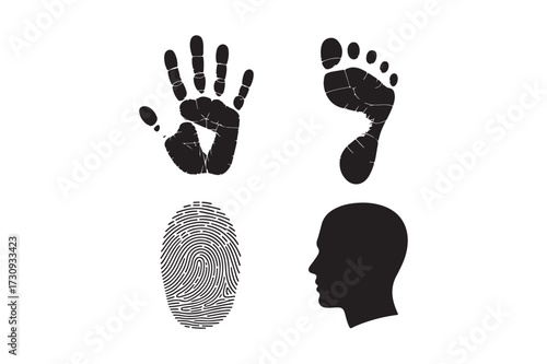 Human identification marks fingerprint hand foot and silhouette