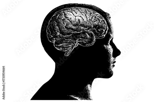 a silhouette of a human head with a detailed anatomical representation of the human brainbrain, head, image, man, person, profile 