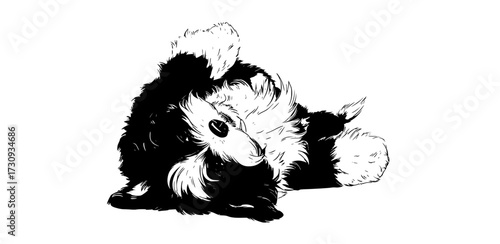 a black and white drawing of a goat lying down on the groundBorder collie, animal, black, dog, floor, illustration, lay, paw, white 
