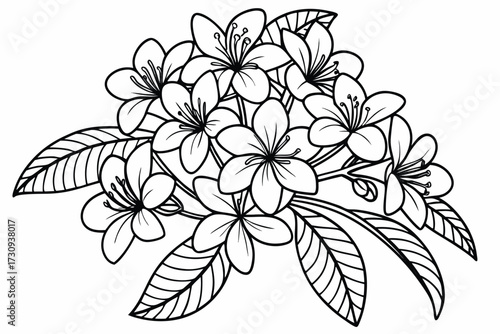 Vector art of blooming rhododendron flowers for coloring page