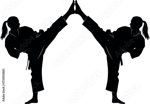 Martial arts silhouette of two fighters performing synchronized high kicks in combat pose, showcasing discipline, flexibility, and athletic strength