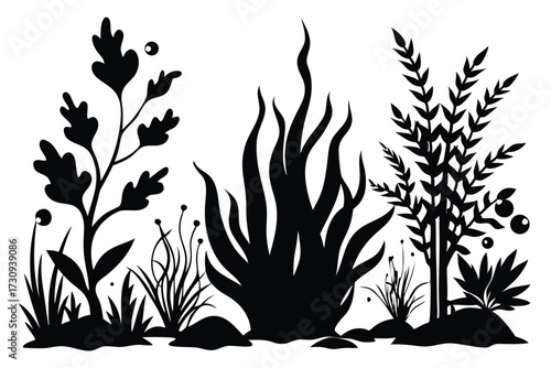 Black Silhouetted Aquatic Plants Seaweed, Grass, and Foliage with Berrylike Spheres Illustration