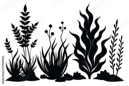 Black Silhouettes of Aquatic Plants, Algae, and Seaweed on the Ocean Floor