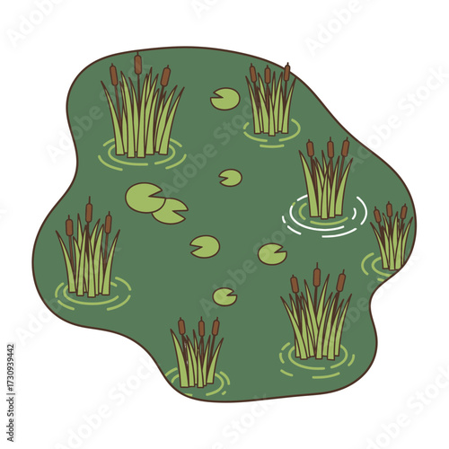 Pond with reeds and lily pads illustration on white background.