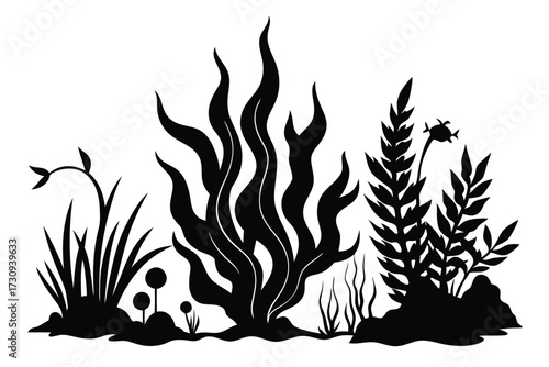 Aquatic Plant Silhouette Kelp, Grass, and Other Flora Underneath the Water Surface