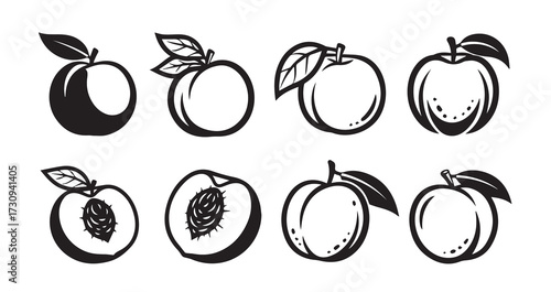 Peach Fruits Line Art Hand Drawn Fruit Outline