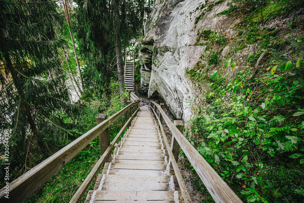 Fototapeta premium Low-angle view of a vibrant green fern sprouting from a moss-covered rock cliff, surrounded by trees and open sky above.