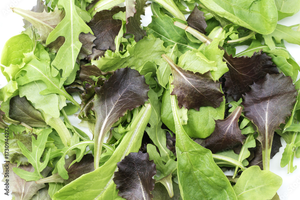 Obraz premium Fresh Italian mixed salad with lettuce, red lettuce, romaine, arugula, and baby spinach. Healthy, colorful greens perfect for Mediterranean dishes.