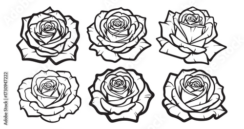 Rose Line Art Elegant Botanical Design