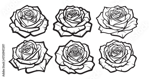 Rose Line Art Elegant Botanical Design