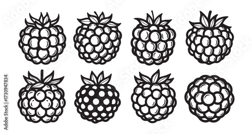 Salmonberry Fruits Line Art Minimal Outline Drawing