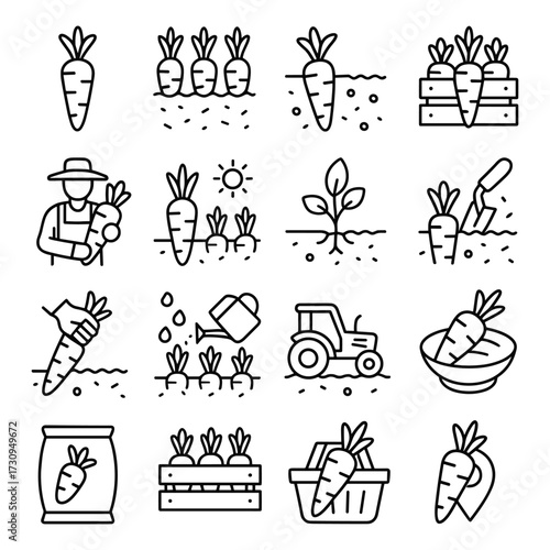 Carrot farming and vegetable harvest icon collection. Outline symbols. Line design