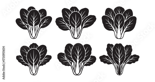 Tatsoi Vegetable Line Art Healthy Organic