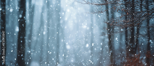 Wallpaper Mural Scene Snowy Winter Forest with Bare Tree Branches Torontodigital.ca