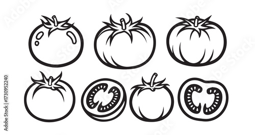 Tomato Vegetable Line Art Minimal Outline Drawing