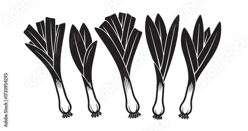 Wild Leek Vegetable Line Art Vector Illustration