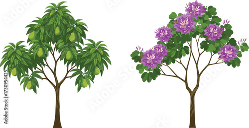 "Vector illustration of fruit-bearing pear tree with green pears and ornamental purple flowering tree with blossoms on grassy ground"
