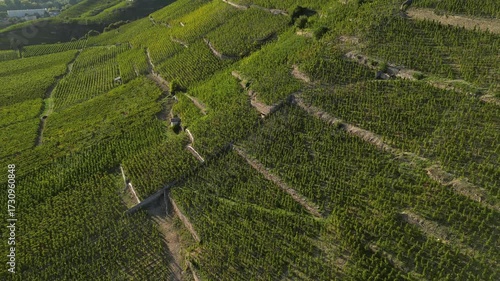 Sunset over Vineyards of Tain Hermitage, Rhone Valley, France – Famous Wine Region and Scenic Landscape