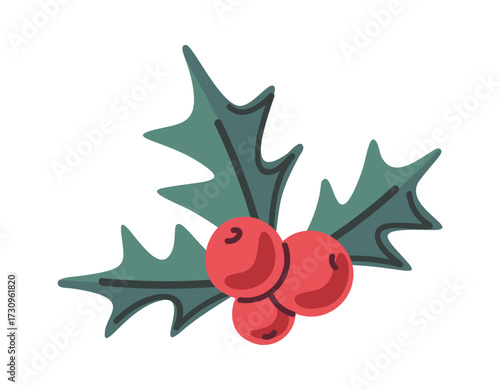 Mistletoe seasonal berry Christmas element