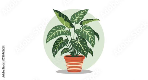 Understanding the beauty of tropical plants in your home.