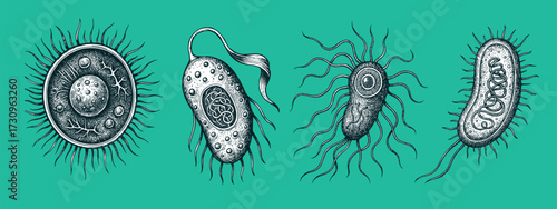 Vintage Engraving Bacteria Set – Microorganisms and Germs on Green Background