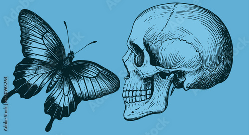 Engraving of Skull and Butterfly – Vintage Retro Gothic Illustration