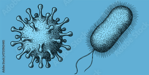 Engraved Microbiology Illustration – Viruses and Bacteria Vintage Style