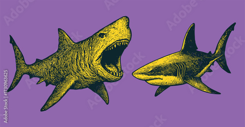 Engraving of Sharks – Vintage Marine Biology Illustration