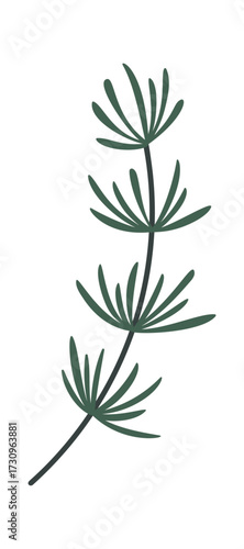 Evergreen conifer branch Christmas element