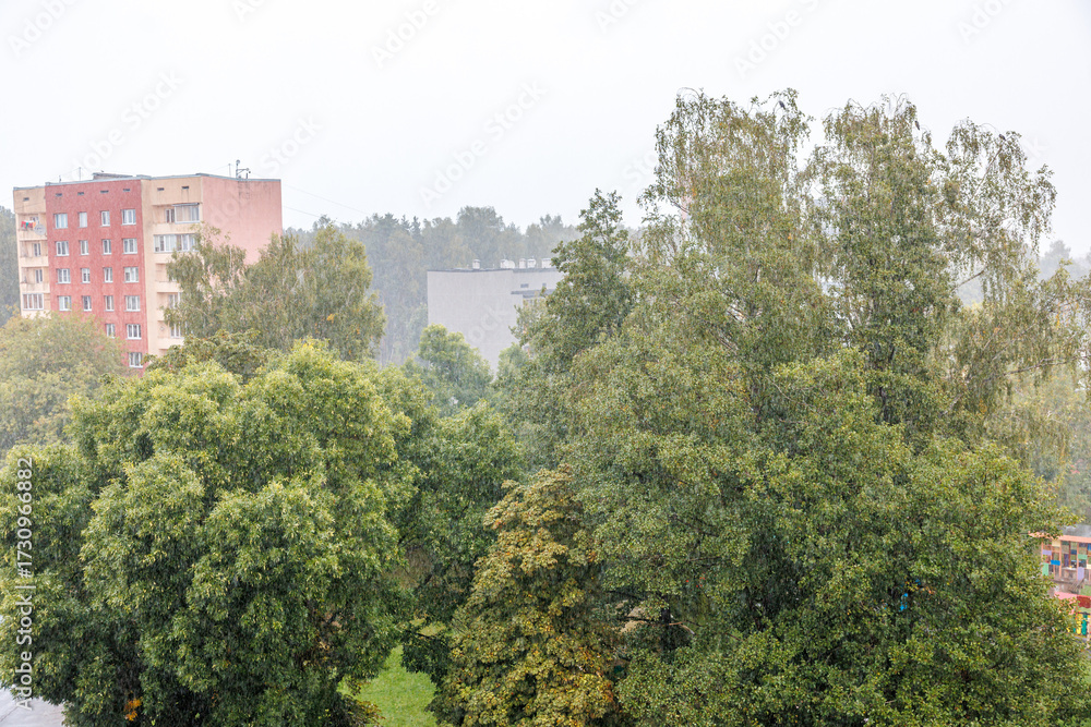 Fototapeta premium Foreground features tall trees in varying green shades. Background includes red and beige residential buildings under an overcast, hazy sky.