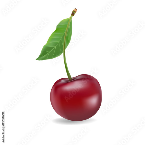 3d realistic vector icon illustration. Fresh red cherries with stem and leaf in one, two or three berries.