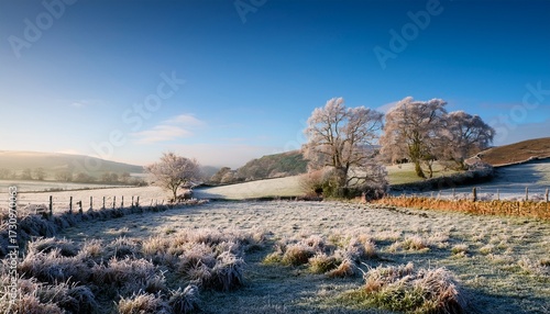 Frosty English Countryside