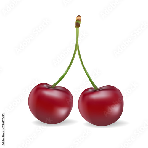 3d realistic vector icon illustration. Fresh red cherries with stem and leaf in one, two or three berries.
