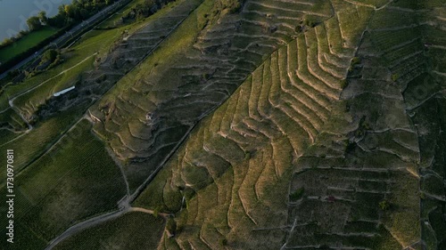 Sunset over Vineyards of Tain Hermitage, Rhone Valley, France – Famous Wine Region and Scenic Landscape