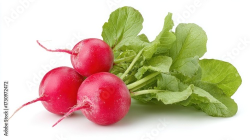 "Crisp Simplicity: Fresh Radish on White"