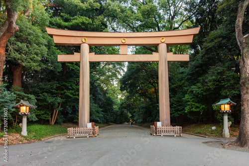 Canvas Print Torii gate leading to Meiji Shinto shrine in Shibuya, Tokyo, Japan