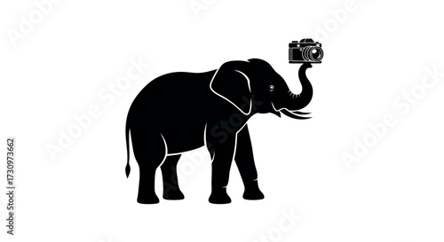 Elephant Holding Camera on Trunk with Transparent Background Keywords: elephant, camera, photography, photo, photographer, animal, wildlife, safari, zoo, trunk, holding, capturing, image, picture