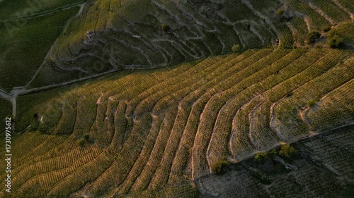 Sunset over Vineyards of Tain Hermitage, Rhone Valley, France – Famous Wine Region and Scenic Landscape