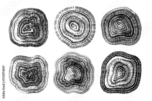 Set of linear tree stump prints isolated on white. Wooden silhouette. Wood texture with concentric rings. Black and white wooden annual rings textures. Wood in cross section. Tree ring pattern